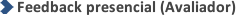 https://prd-ng1.lg.com.br/Gente/Recursos/Help/GestaoTalentos/competencias/images/ul_feedback_presencial.png